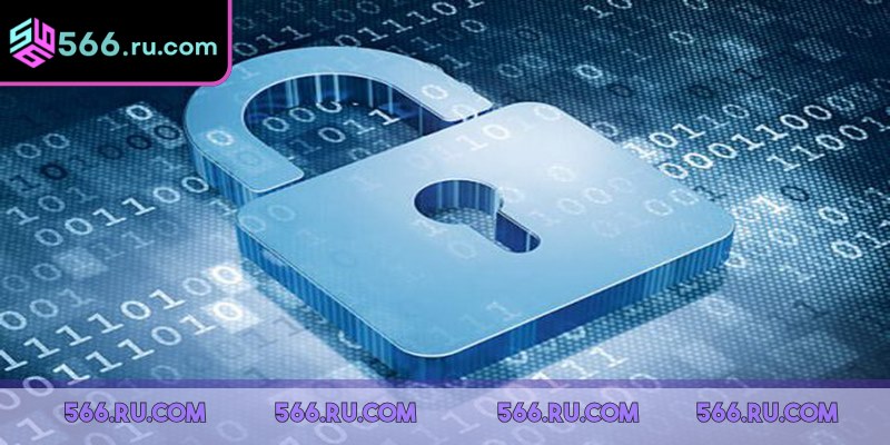 566 Có Uy Tín Không Và Lời Giải Đáp Phía Sau Thắc Mắc 4 566 có uy tín không khi bảo mật thông tin khách hàng chặt chẽ