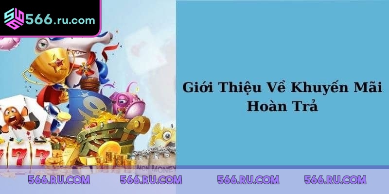566 Hoàn Trả - Cơ Hội Nhận Vốn Cược Lớn Tại Nhà Cái 6 Người chơi nên kết hợp với các khuyến mãi khác từ nhà cái