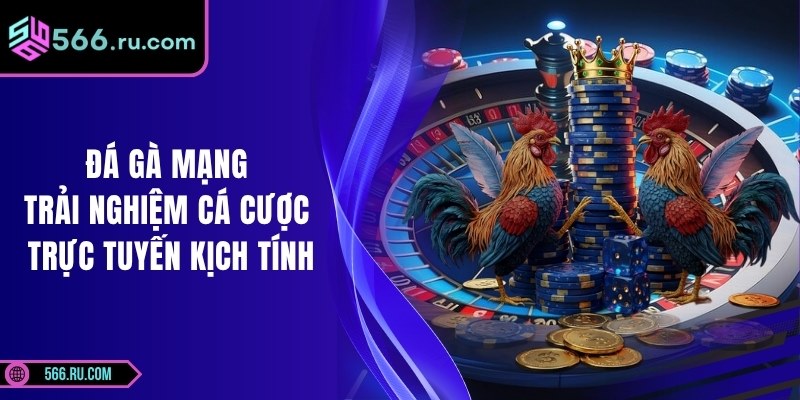 Đá Gà Mạng Trải Nghiệm Cá Cược Trực Tuyến Kịch Tính 6 Đá Gà Mạng Trải Nghiệm Cá Cược Trực Tuyến Kịch Tính